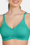 Zivame Essentials Double Layered Non Wired Full Coverage T-Shirt Bra - Florida Key — thumbnail 5